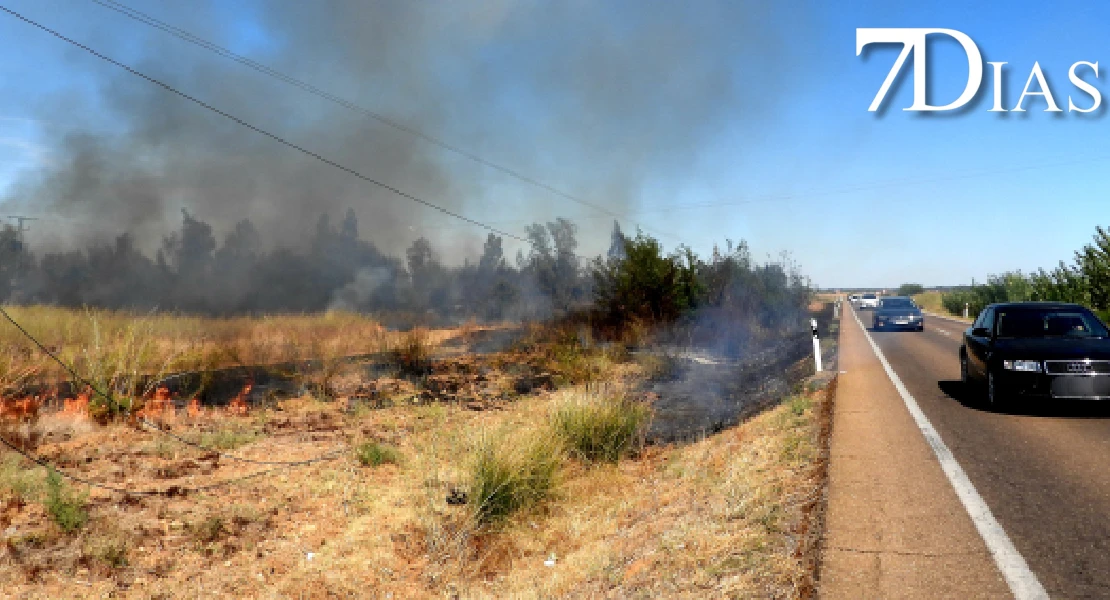 Incendio forestal junto a Valdebotoa: Bomberos de Badajoz trabajan en la extinción