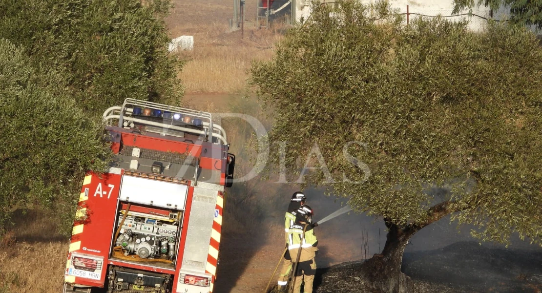 Un incendio calcina varias hectáreas junto a Talavera la Real