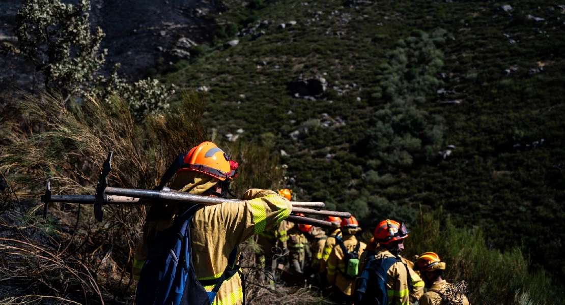 El Infoex controla un nuevo incendio forestal en el puerto de Tornavacas