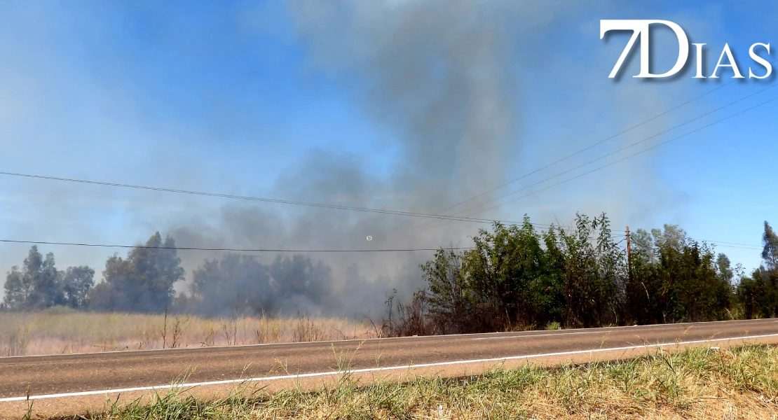 Incendio forestal junto a Valdebotoa: Bomberos de Badajoz trabajan en la extinción
