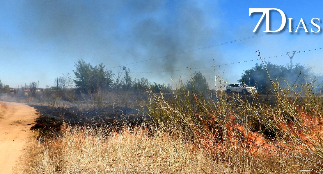 Incendio forestal junto a Valdebotoa: Bomberos de Badajoz trabajan en la extinción