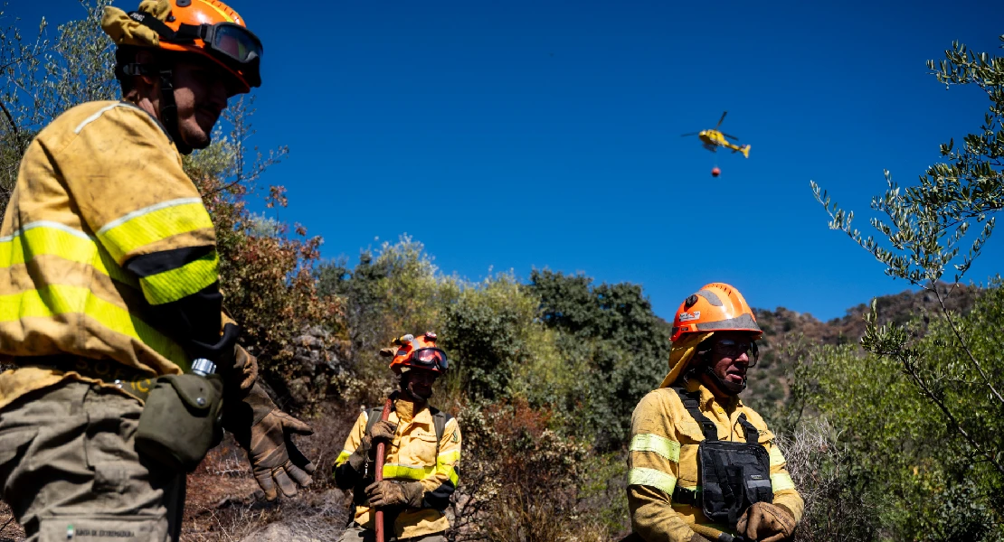Continúan los incendios forestales en septiembre: el Infoex interviene en 15 en la última semana