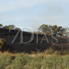 Un incendio calcina varias hectáreas junto a Talavera la Real