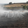 Un incendio calcina varias hectáreas junto a Talavera la Real