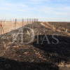 Un incendio calcina varias hectáreas junto a Talavera la Real
