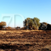 Un incendio calcina 20 hectáreas junto a la carretera de Sevilla en Badajoz