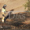 Un incendio calcina varias hectáreas junto a Talavera la Real