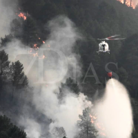 Repoblar de nuevo con pinos los terrenos quemados sería echar más leña al fuego