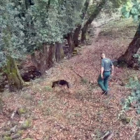 Un helicóptero del INFOEX se une a la búsqueda de Salva en Losar de la Vera (CC)