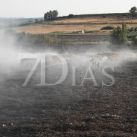 Un incendio calcina varias hectáreas junto a Talavera la Real