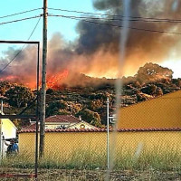 Declarado un incendio forestal nivel 1 cerca de Navalmoral de la Mata