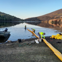 Intensos trabajos para restaurar las zonas afectadas por los grandes incendios de este verano