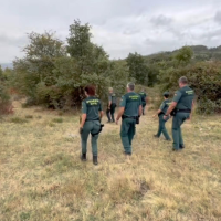 Perros especializados participan en la búsqueda de un vecino de Jarandilla de la Vera (CC)
