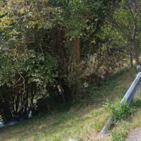 Fallece una joven copiloto de 20 años tras un grave accidente en un rally