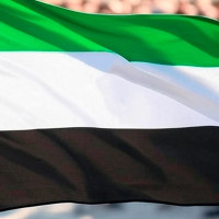 ¿Por qué nuestra bandera es verde, blanca y negra?
