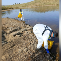 Retiran los peces muertos del embalse de Los Molinos