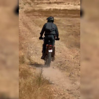 Pillan a un vecino de Badajoz capturando ilegalmente aves protegidas