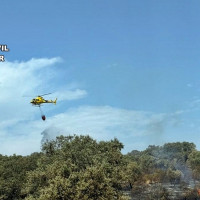 Un buitre provocó el incendio forestal en Valdecaballeros