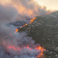 Un amplio dispositivo trabaja en un incendio forestal declarado en el Jerte