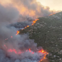 El Plan Infoex interviene en 31 incendios forestales en la última semana