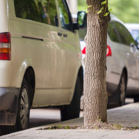 Hasta 57 ºC: denuncian que las plazas sin árboles de Extremadura se convierten en “infernales”