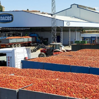 Denuncian el accidente laboral en el que una trabajadora fue atropellada por una carretilla en Coria