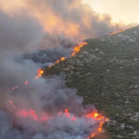 Casi toda Extremadura estará en riesgo muy alto por incendios