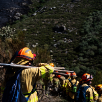 El Infoex controla un nuevo incendio forestal en el puerto de Tornavacas