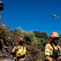 Continúan los incendios forestales en septiembre: el Infoex interviene en 15 en la última semana
