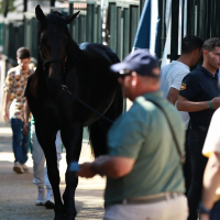 CSIF denuncia que el Ayto. de Zafra afronta la Feria Ganadera sin pagar a sus empleados la anterior