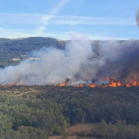 El INFOEX moviliza medios para un incendio en la frontera con Extremadura
