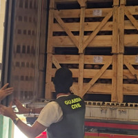 Interceptados 1.283 kilos de cocaína ocultos en un cargamento de cocos