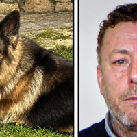 Buscan a un desaparecido en Extremadura que salió a pasear con su perro y no volvió