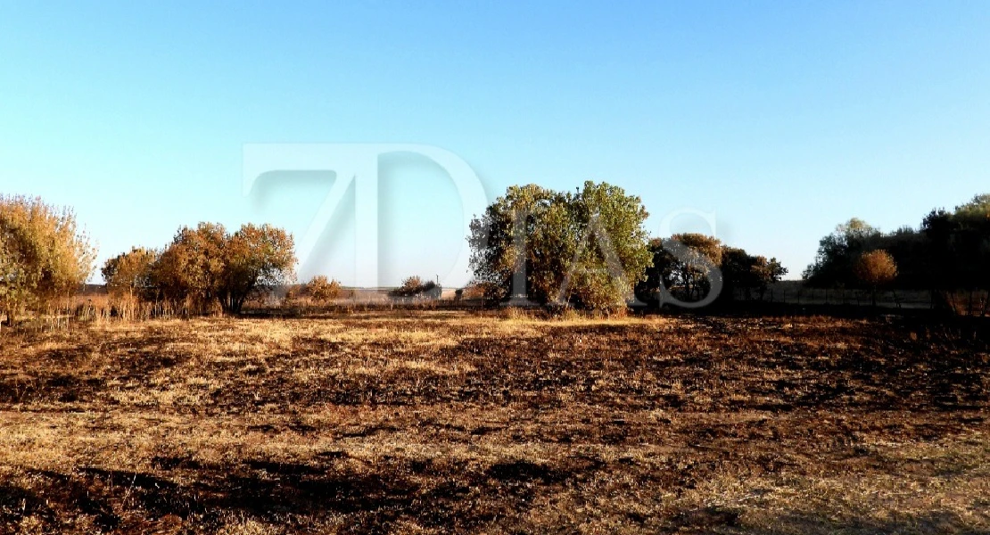 Un incendio calcina 20 hectáreas junto a la carretera de Sevilla en Badajoz
