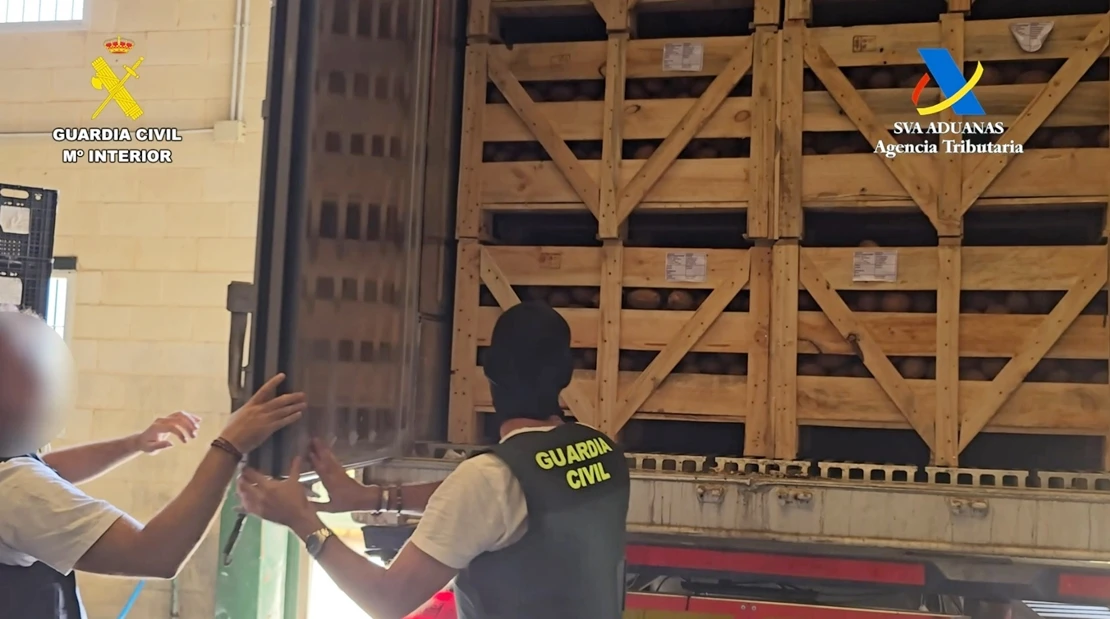 Interceptados 1.283 kilos de cocaína ocultos en un cargamento de cocos