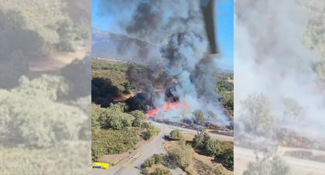 Activan el Nivel 1 por un incendio forestal en Robledillo de la Vera (CC)