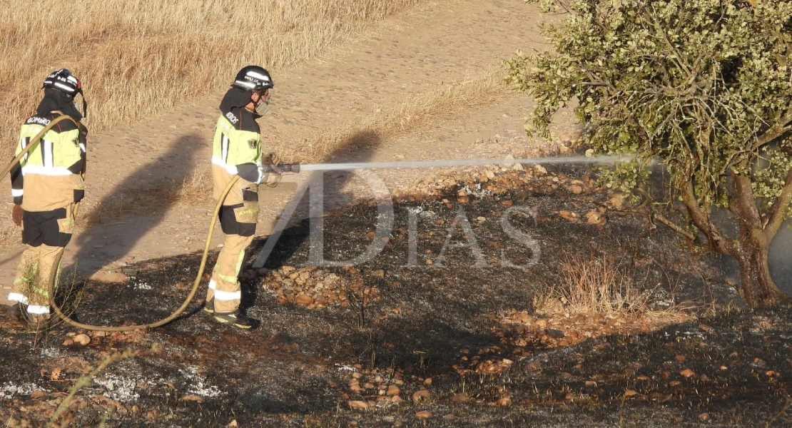 Un incendio calcina varias hectáreas junto a Talavera la Real
