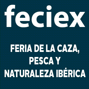 CAMPAÑA FECIEX