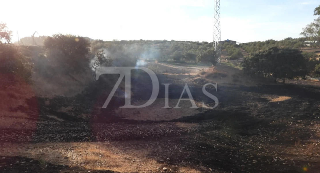Un incendio calcina varias hectáreas junto a Talavera la Real