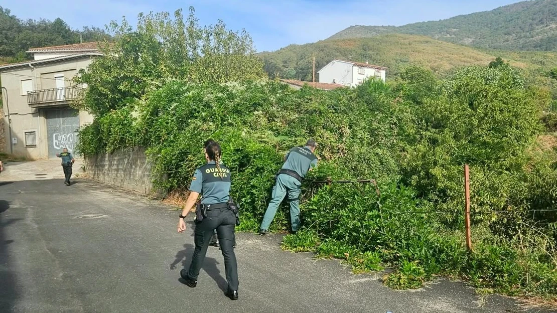 Nueva batida de búsqueda para dar con el paradero de Salva y su perro en Losar de la Vera