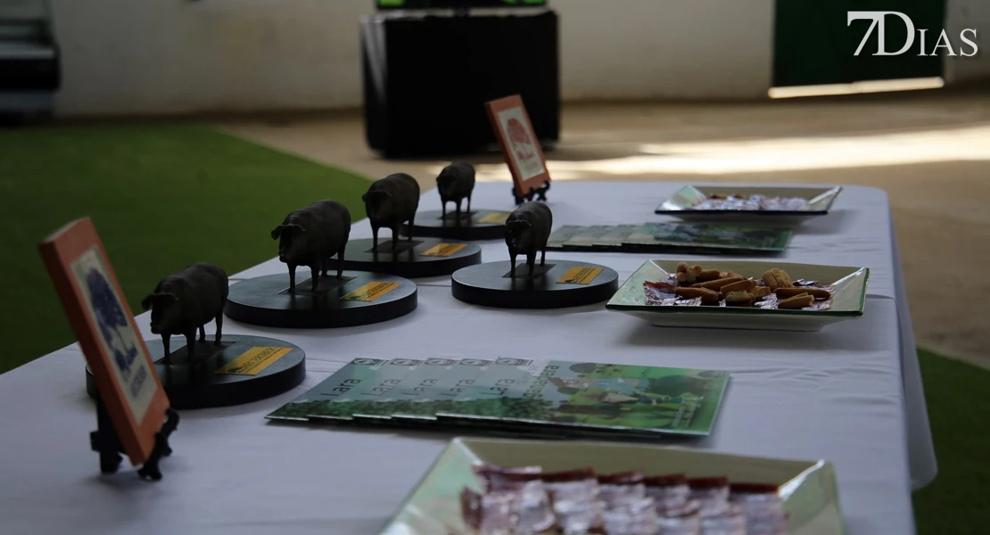 Zafra vuelve a ser el epicentro del sector ganadero: conoce todos los detalles de su feria