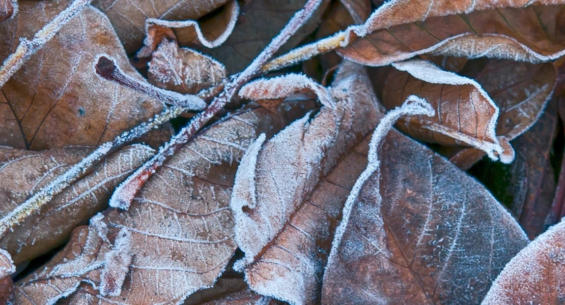 Conoce las localidades extremeñas con las temperaturas más bajas esta madrugada