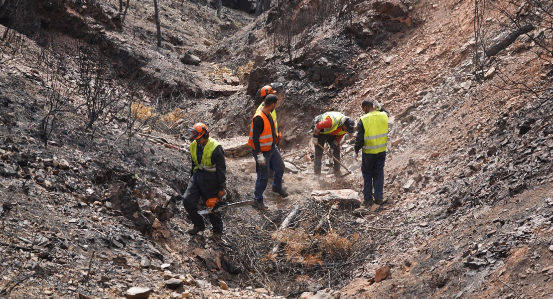 La CHT declara de emergencias los trabajos en zonas afectadas por los incendios forestales