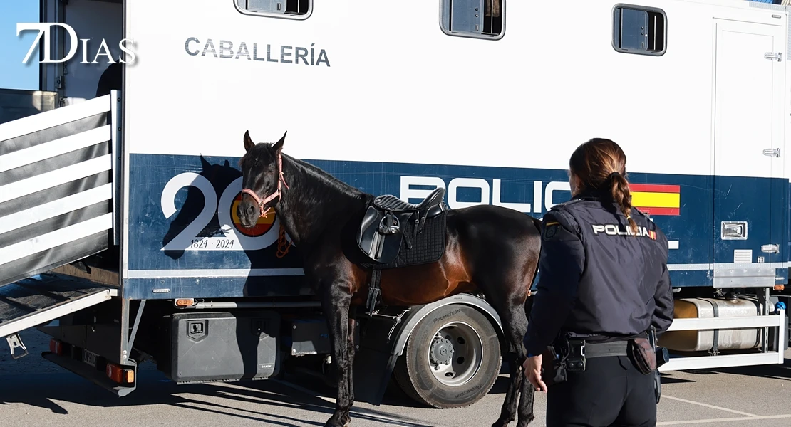 REPOR: La carrera 091 deja deporte, solidaridad y buen ambiente en Badajoz