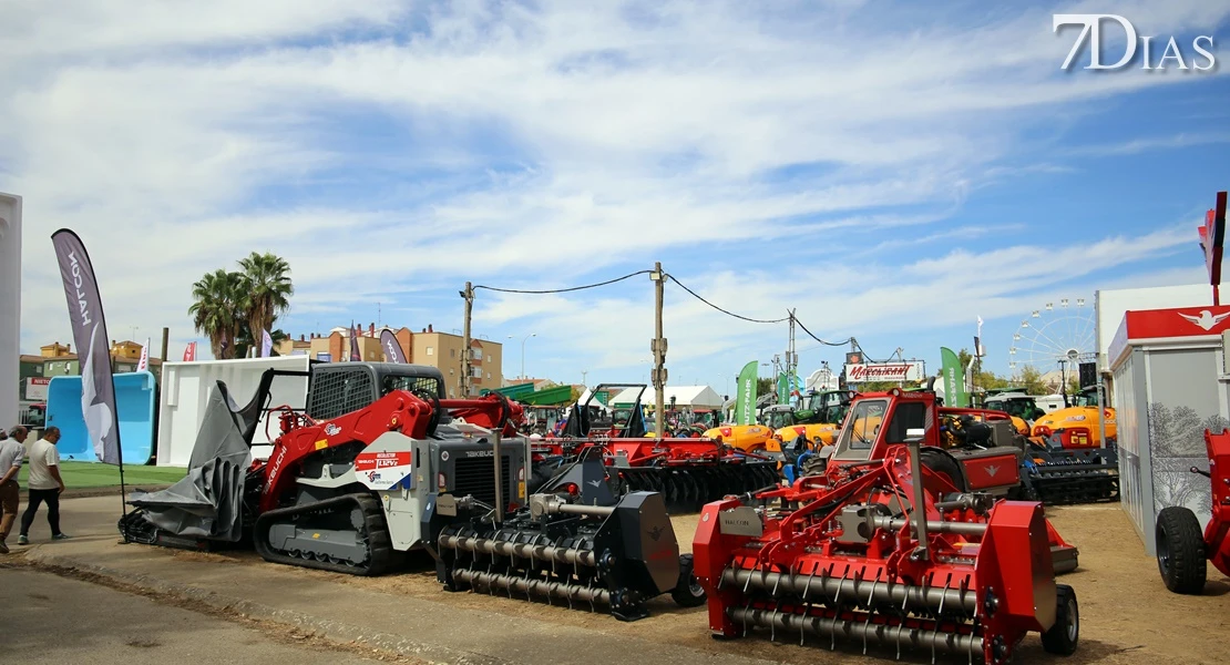 Zafra vuelve a ser el epicentro del sector ganadero: conoce todos los detalles de su feria