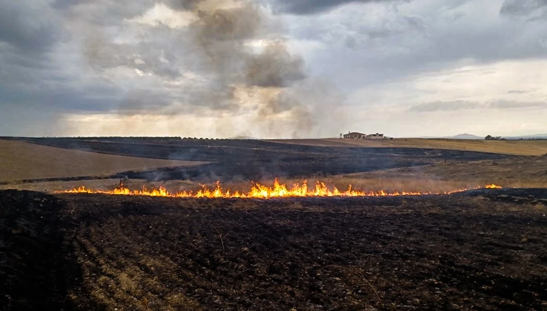 El Plan Infoex interviene en 25 incendios forestales