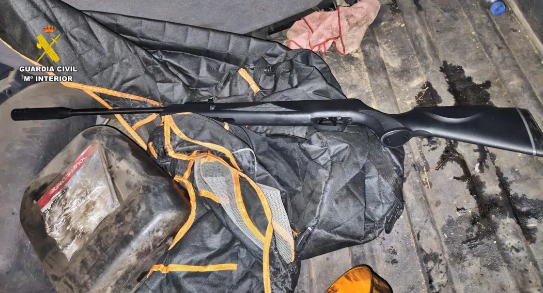 Atrocidad en Táliga: investigan a cinco jóvenes por matar a tiros a 12 gatos