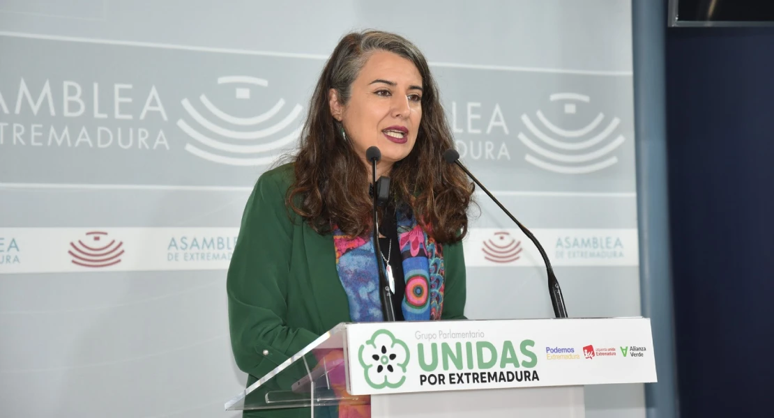 De Miguel: "El presupuesto de la Junta tiene anuncios vacíos y es propaganda”