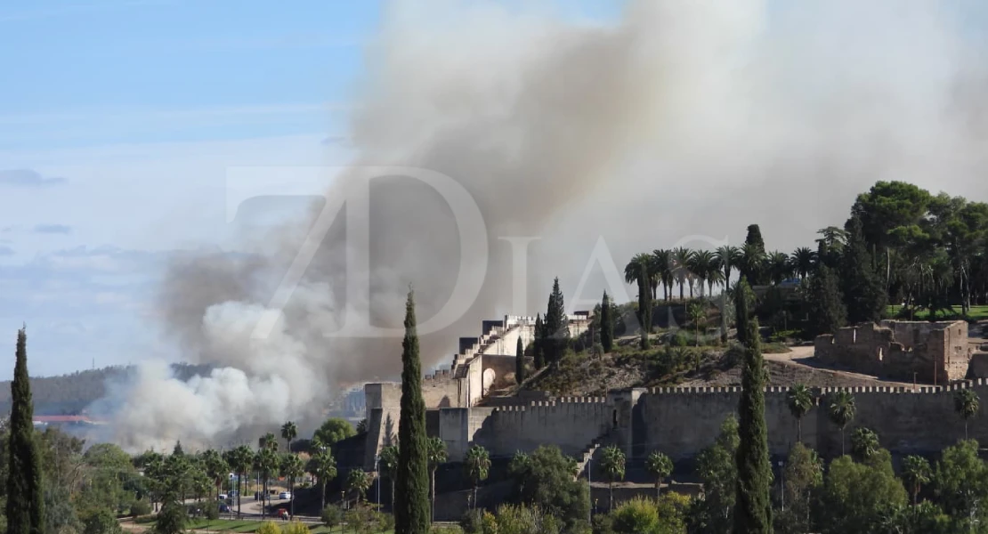 Un incendio forestal moviliza un amplio dispositivo en Badajoz