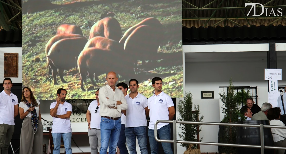 Zafra vuelve a ser el epicentro del sector ganadero: conoce todos los detalles de su feria